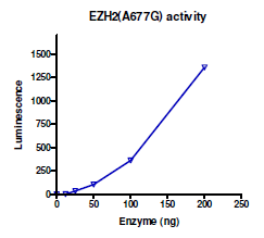 EZH2 (A677G) Chemiluminescent Assay Kit