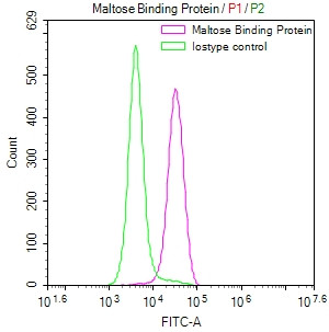 Anti-malE Recombinant Monoclonal, clone 10F2