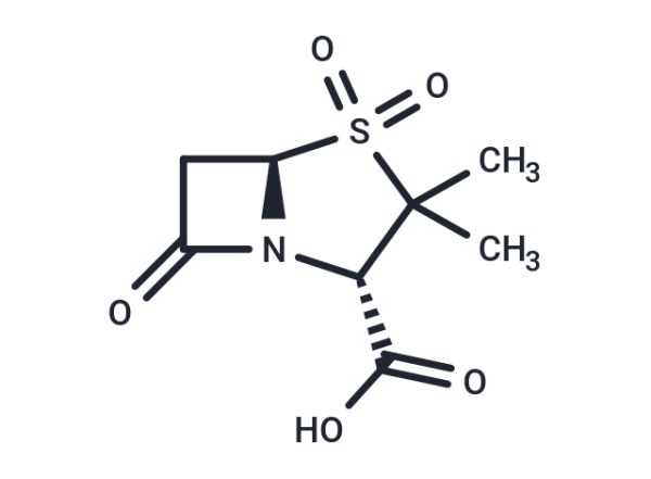Sulbactam
