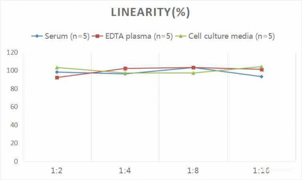 Rat CGRP1 (Calcitonin Gene Related Peptide 1) CLIA Kit