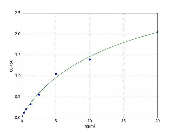 Human HLA-B27 ELISA Kit