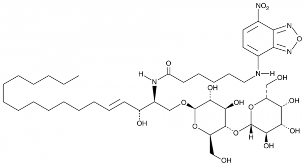 C6 NBD Lactosylceramide (d18:1/6:0)