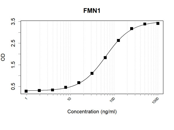 Anti-Human FMN1 Antibody Pair