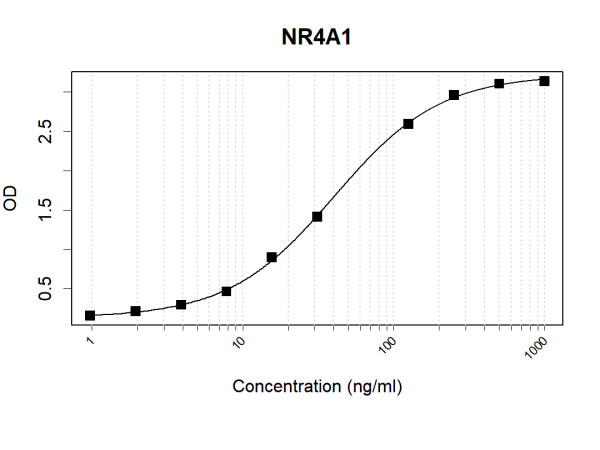 Anti-Human NR4A1 Antibody Pair