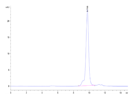 IL-23A[Biotin], His &amp; Avi, Mouse