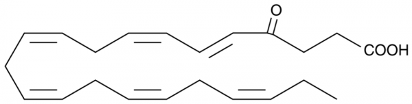 4-oxo Docosahexaenoic Acid