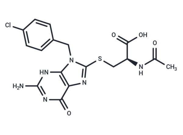 E3 ligase Ligand 18