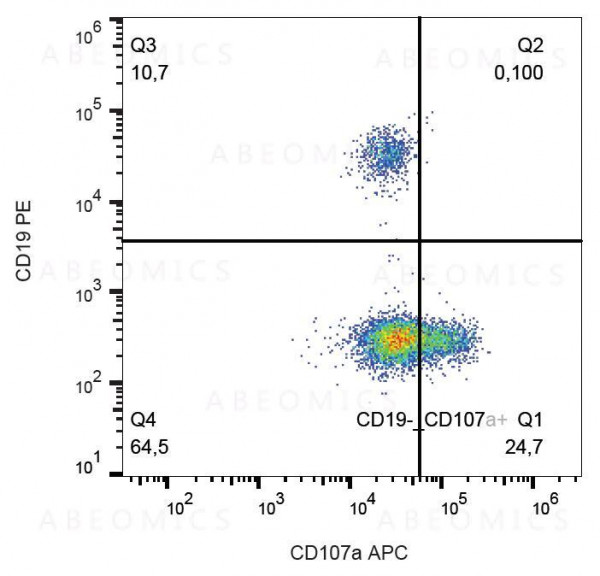 Anti-CD107a / LAMP-1 Monoclonal Antibody (Clone:H4A3)