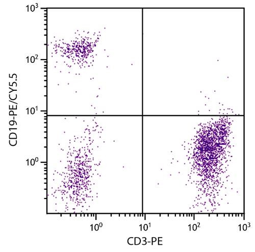 Anti-CD19 (PE/Cy5.5), clone SJ25-C1