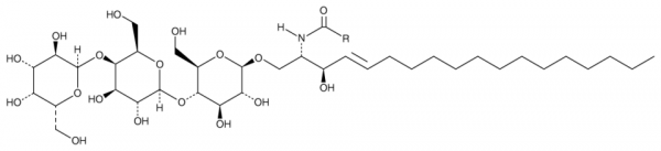 Globotriaosylceramide (porcine RBC)