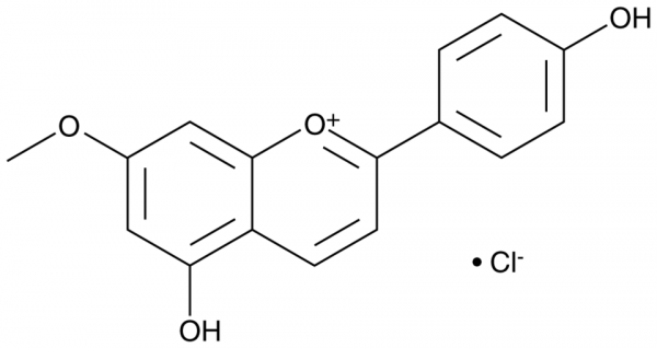 7-methoxy Apigeninidin (chloride)