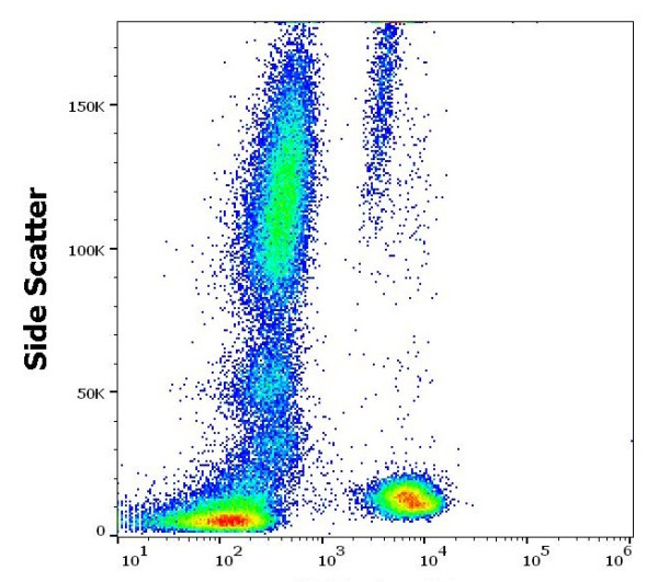 Anti-CD3, clone UCHT1 (PerCP)