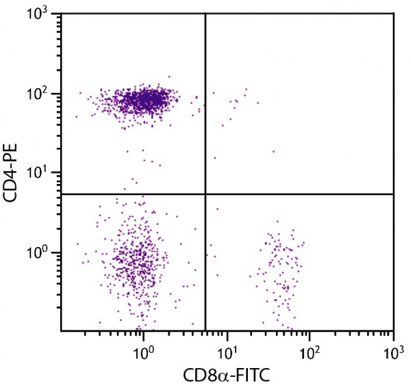 Anti-CD8a (FITC), clone CT-8