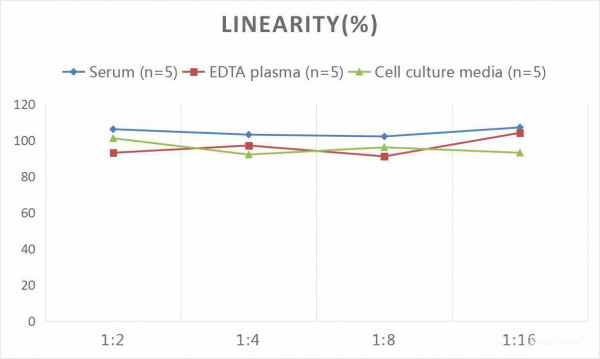 Mouse PDGFD (Platelet Derived Growth Factor D) CLIA Kit