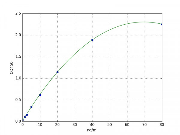 Human SFRP2 / Secreted frizzled-related protein 2 ELISA Kit