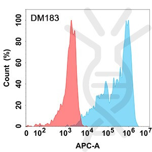 Anti-IL13RA1 antibody(DM183), Rabbit mAb