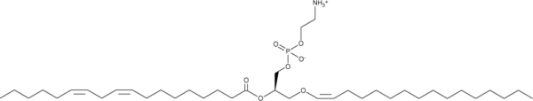 1-(1(Z)-Hexadecenyl)-2-linoleoyl-sn-glycero-3-phosphoethanolamine