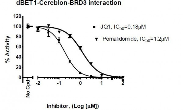 PROTAC Optimization Kit for BET Bromodomain-Cereblon Binding