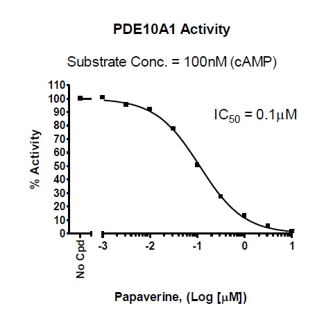 PDE10A1 Assay Kit