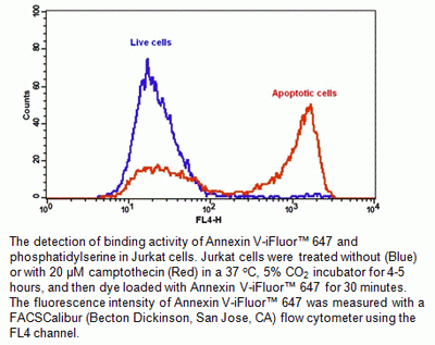 Cell Meter(TM) Annexin V Binding Apoptosis Assay Kit, Deep Red Fluorescence Optimized for Flow Cytom