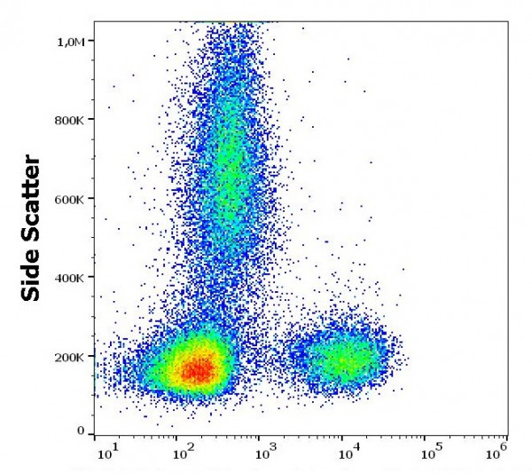 Anti-CD314, clone 1D11 (azide free)