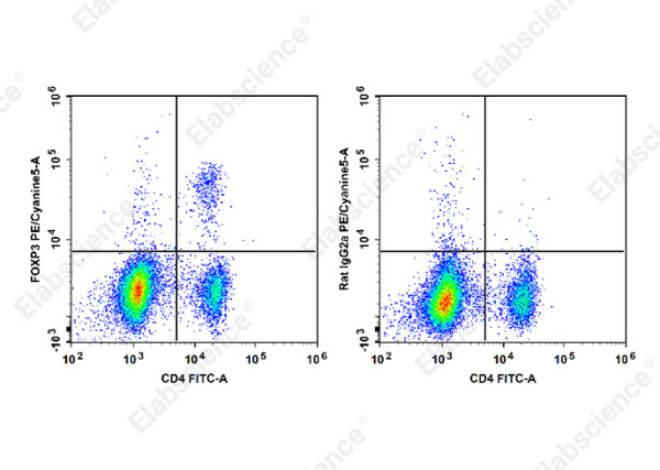 Anti-Foxp3 (mouse/rat), clone FJK-16s, PE/Cyanine5 conjugated
