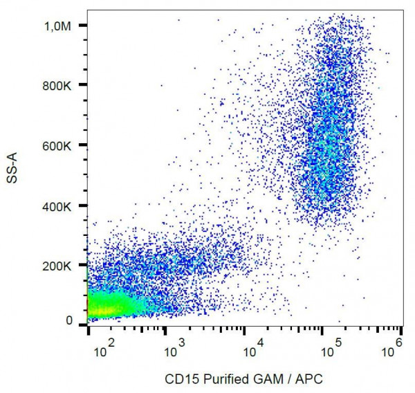 Anti-CD15, clone MMA