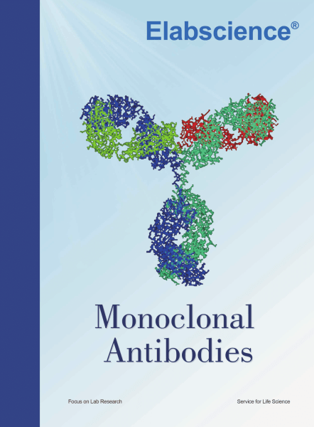 Elabscience Monoclonal Antibodies