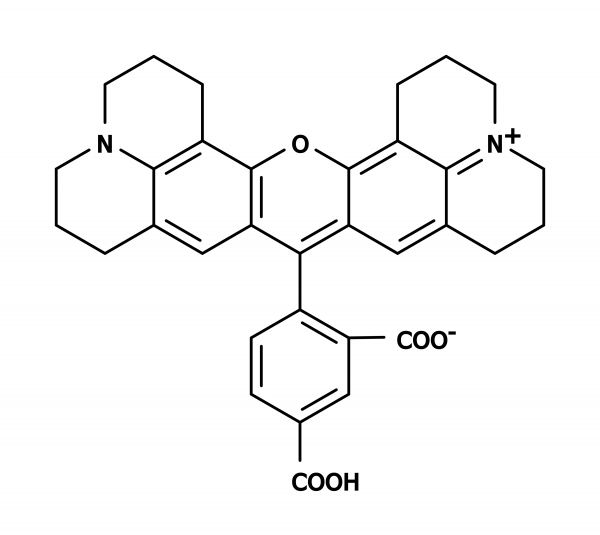 5-ROX [5-Carboxy-X-rhodamine] *CAS 216699-35-3*