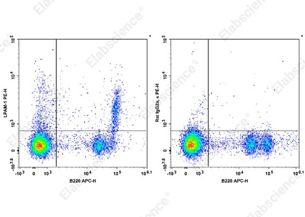 PE Anti-Mouse LPAM-1 Antibody[DATK32]