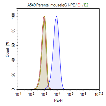 MRC2 Knockout Firefly Luciferase A549 Cell Line