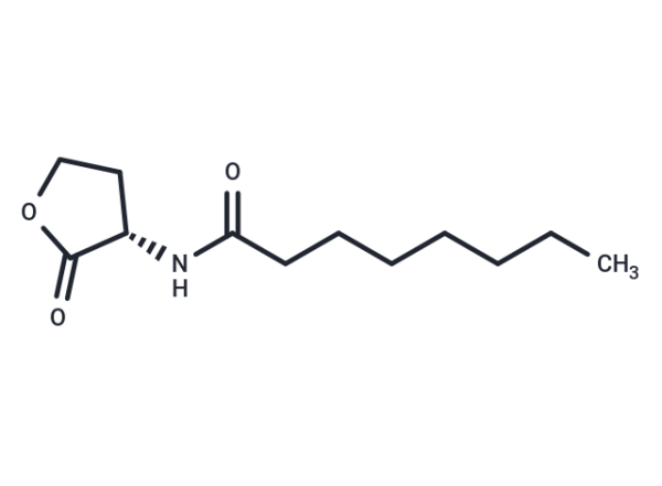 N-octanoyl-L-Homoserine lactone