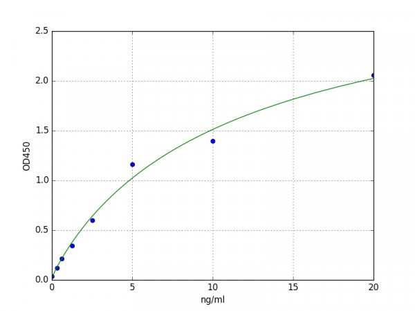 Human REG1 beta / REG1B ELISA Kit