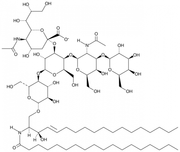 Ganglioside GM1 (porcine brain) (sodium salt)