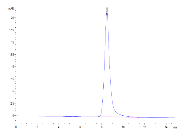 Mouse CD52 Protein