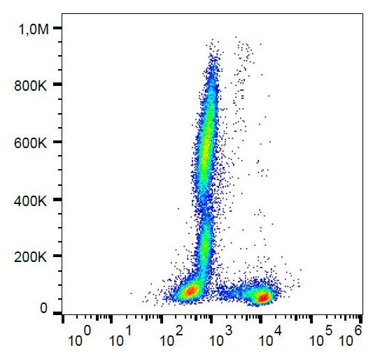 Anti-CD27, clone LT27 (FITC)