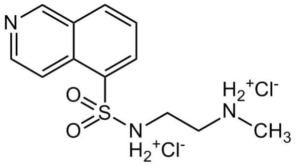 H-8 . dihydrochloride