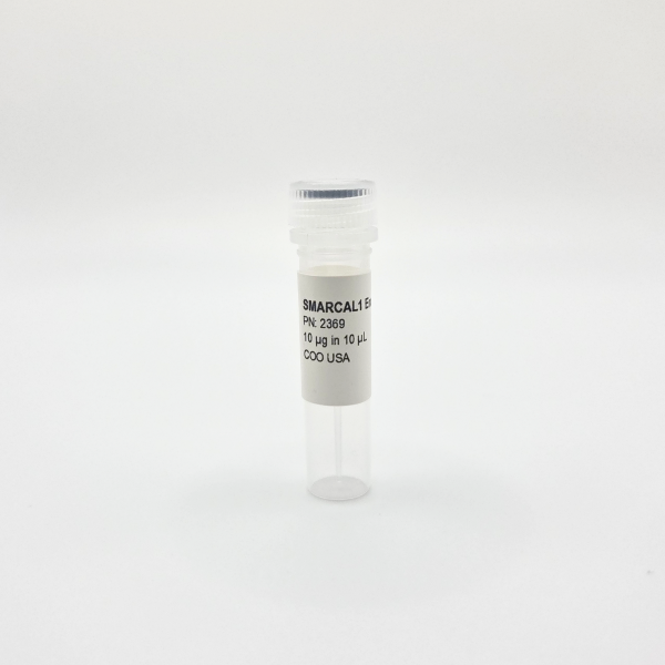 Recombinant SMARCAL1 Enzyme, Active, Human