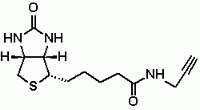 Biotin Alkyne