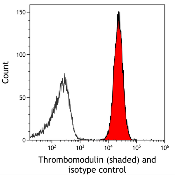 Anti-Thrombomodulin Recombinant Monoclonal