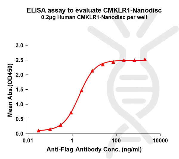 CMKLR1 (human) full length protein-synthetic nanodisc