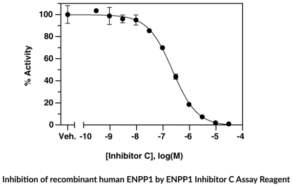 ENPP1 Fluorescent Inhibitor Screening Assay Kit