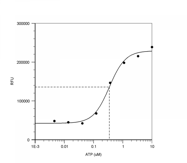 Cell Meter(TM) No Wash and Probenecid-Free Endpoint Calcium Assay Kit *Optimized for microplate read