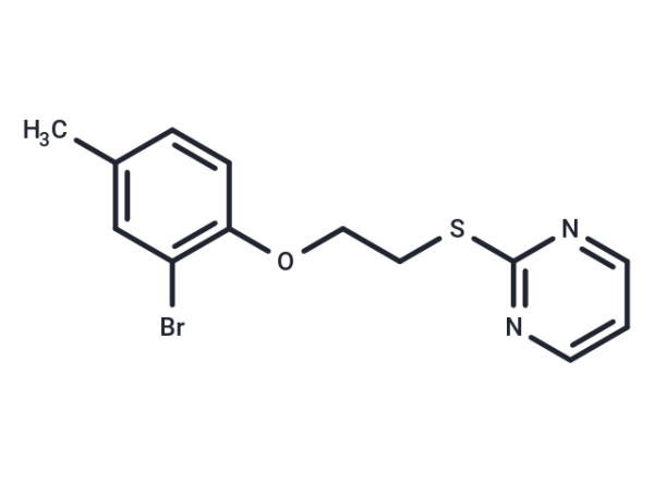 ZLN024