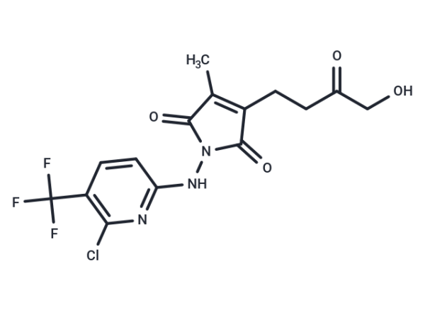 XPO1-ligand-1