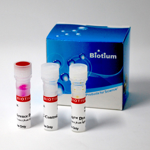 GloMelt(TM) Thermal Shift Protein Stability Kit