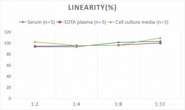 Human TLR9 (Toll-Like Receptor 9) CLIA Kit