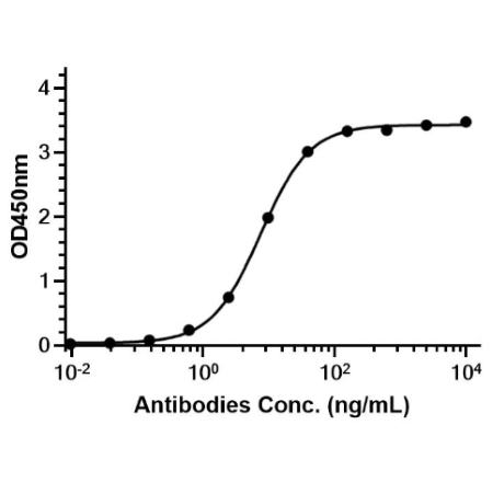 Anti-PD-1 Antibody (Toripalimab)