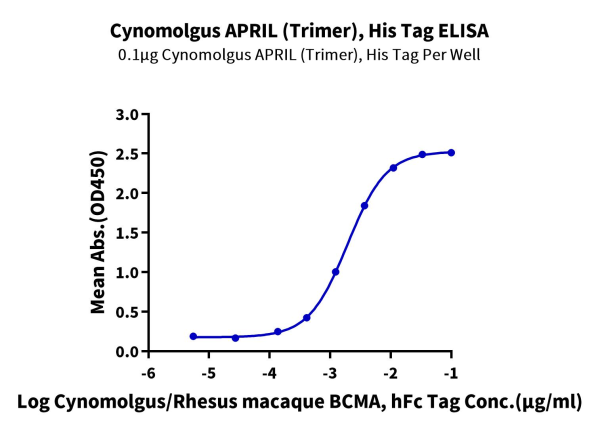 Cynomolgus APRIL/TNFSF13 Trimer Protein