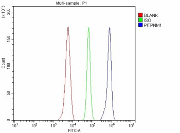 Anti-PITPNM1 / Phosphatidylinositol transfer protein membrane associated 1
